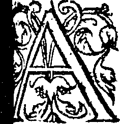 074/074920100001490_0.png