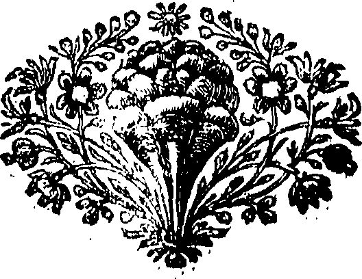 074/074980020000220_0.png