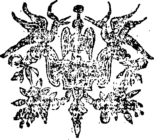 074/074980020000380_0.png