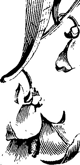 075/075010010000440_0.png