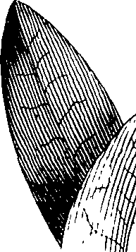 075/075010010000440_1.png