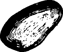 075/075010010000450_0.png