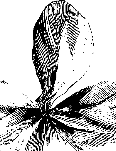 075/075010010001800_0.png