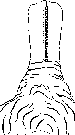 075/075010010002060_0.png