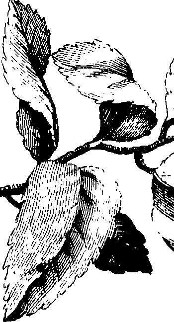 075/075010010005060_0.png