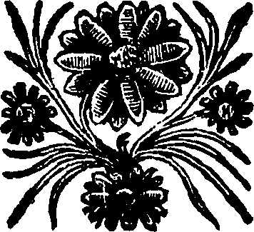 075/075060070000740_0.png