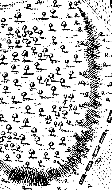 075/075080030201440_2.png