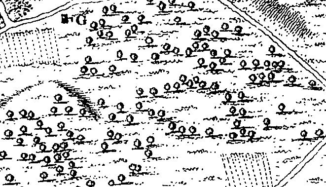 075/075080030201460_0.png