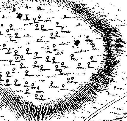 075/075080030201480_1.png