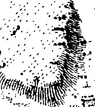 075/075080030201670_0.png