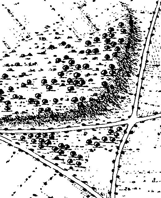 075/075080030201770_0.png