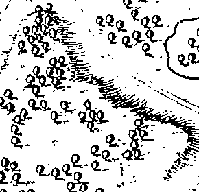 075/075080030201790_0.png