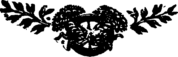 075/075150010205290_0.png