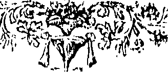 075/075150010205380_0.png