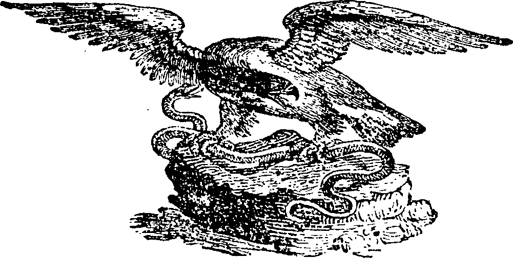 075/075170060000230_0.png