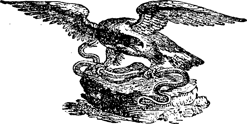 075/075170060000250_0.png