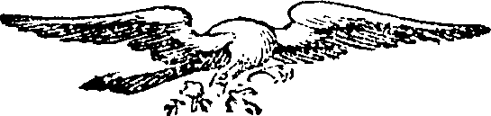 075/075170060000510_0.png