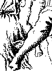 075/075180050000010_0.png