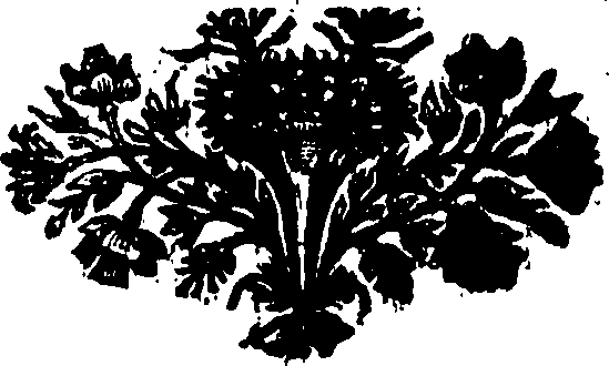 075/075200050000970_0.png