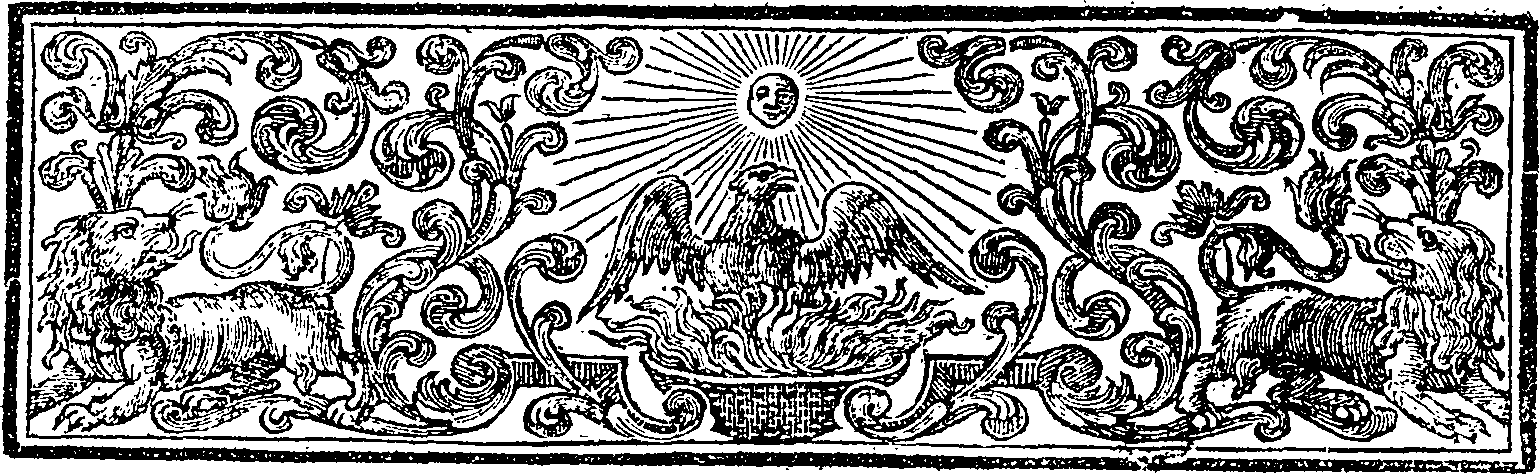 075/075290080000020_1.png