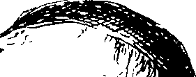 075/075380090000010_1.png