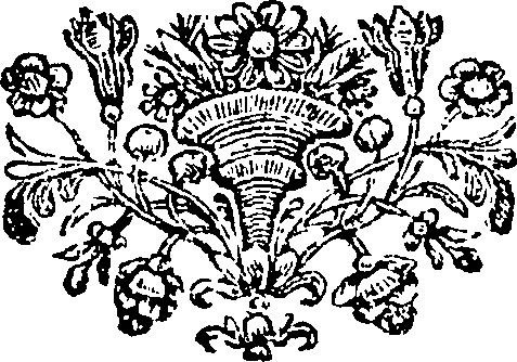 075/075410020005340_0.png