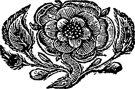 075/075550010000010_0.png