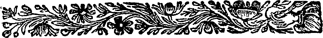 075/075550010000080_1.png