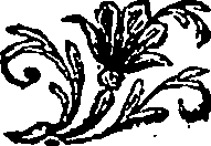 075/075550010000120_0.png