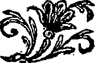 075/075550010000520_0.png