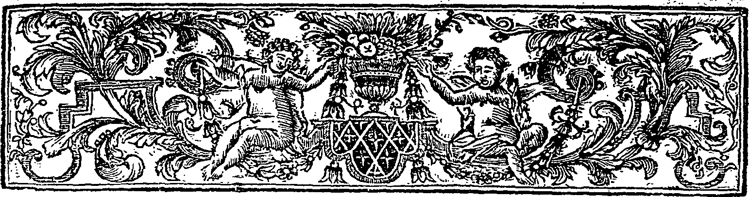 075/075580020000020_1.png
