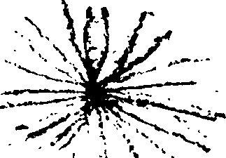 075/075730180000010_1.png
