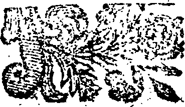 075/075740110000030_0.png