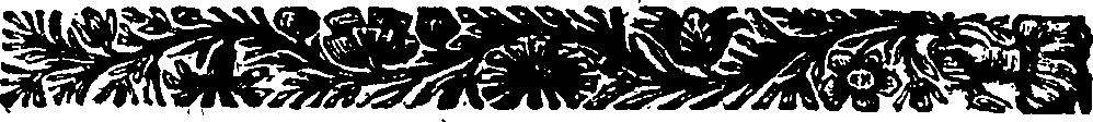 075/075950020000140_1.png