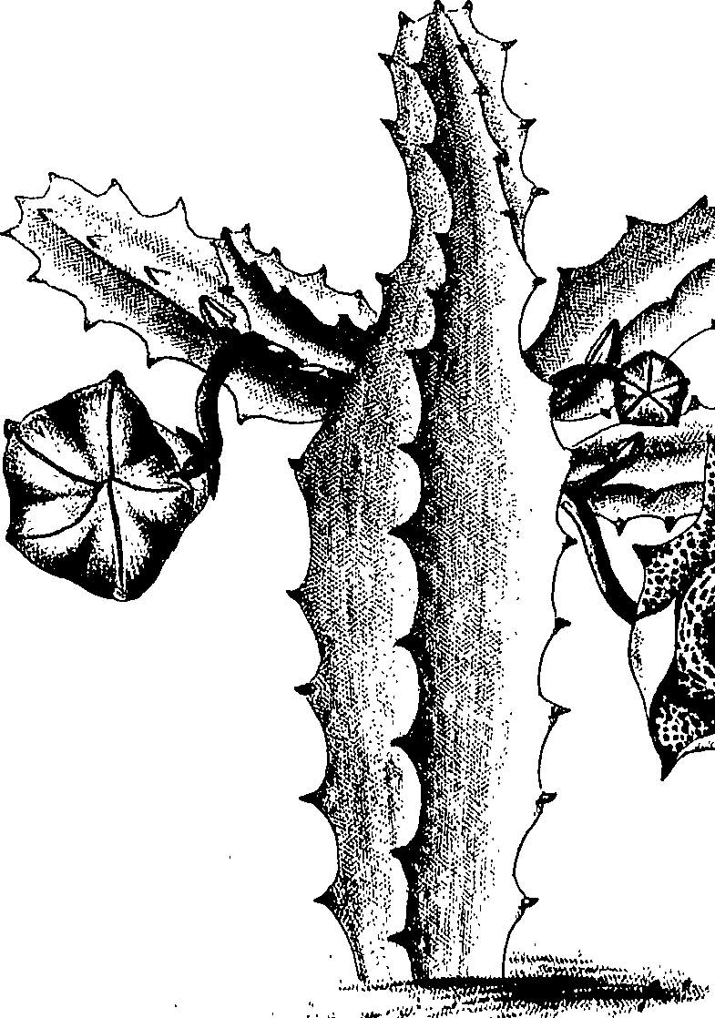 075/075950050000260_0.png