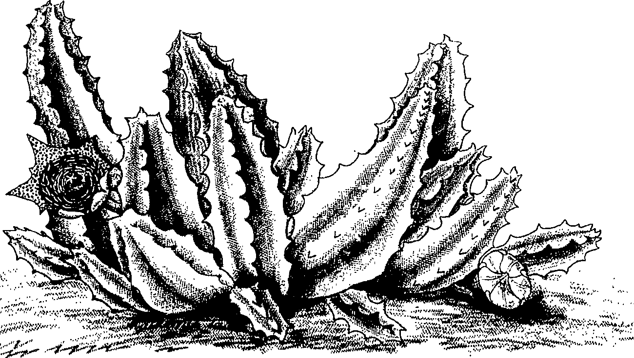 075/075950050000280_0.png
