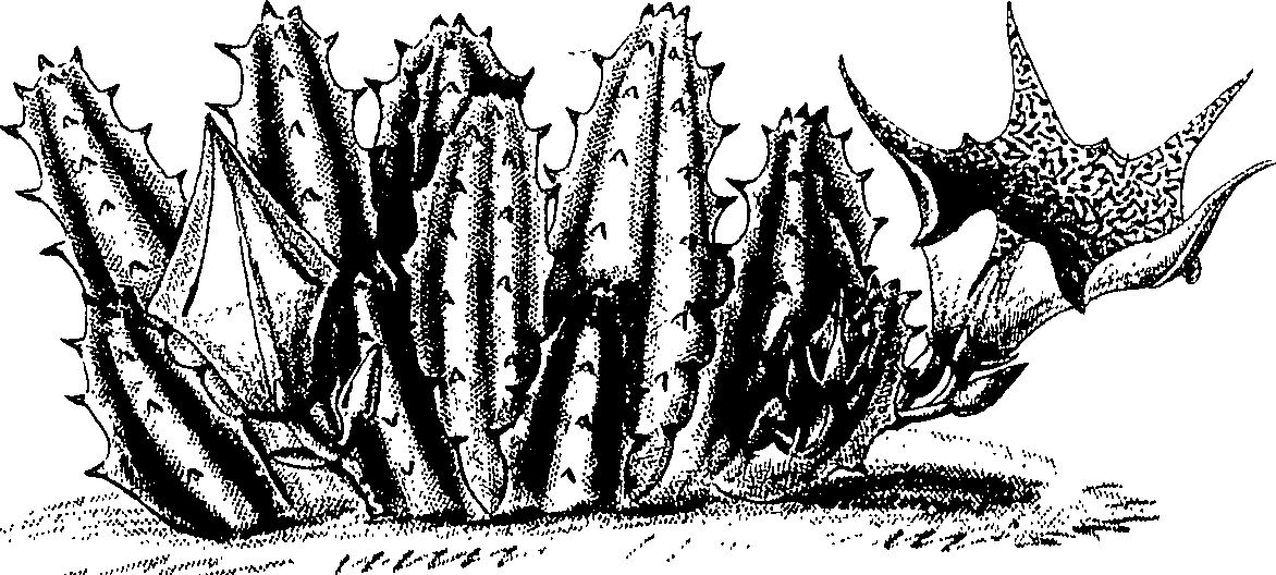 075/075950050000300_0.png
