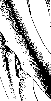 075/075950050000330_0.png