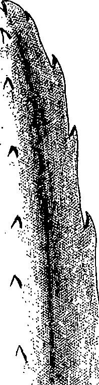 075/075950050000340_0.png