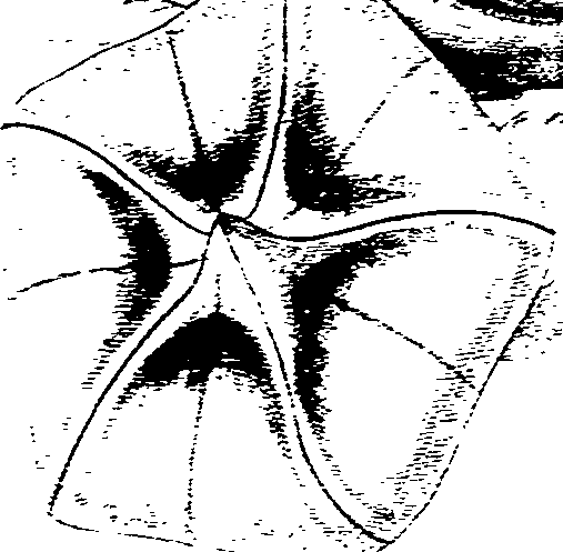075/075950050000360_0.png