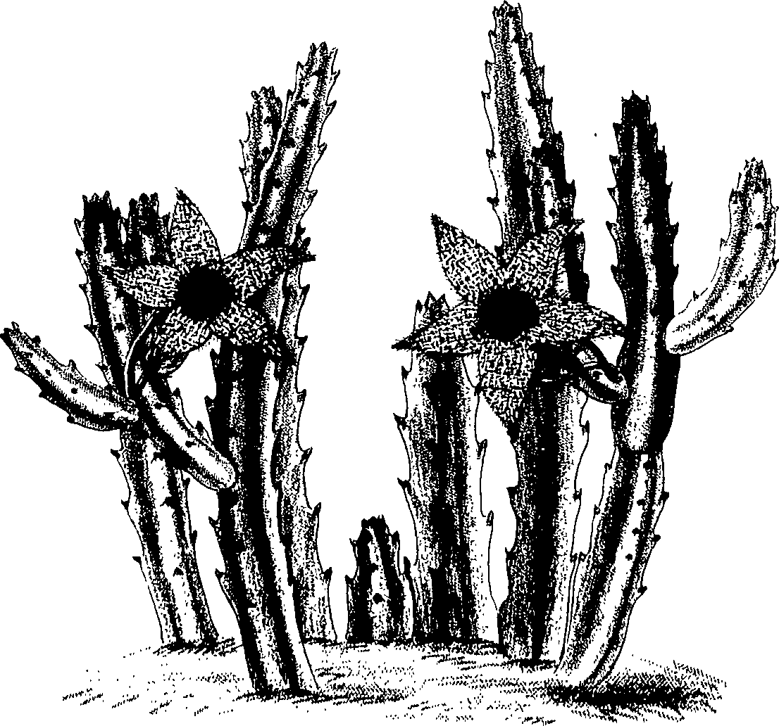 075/075950050000410_0.png