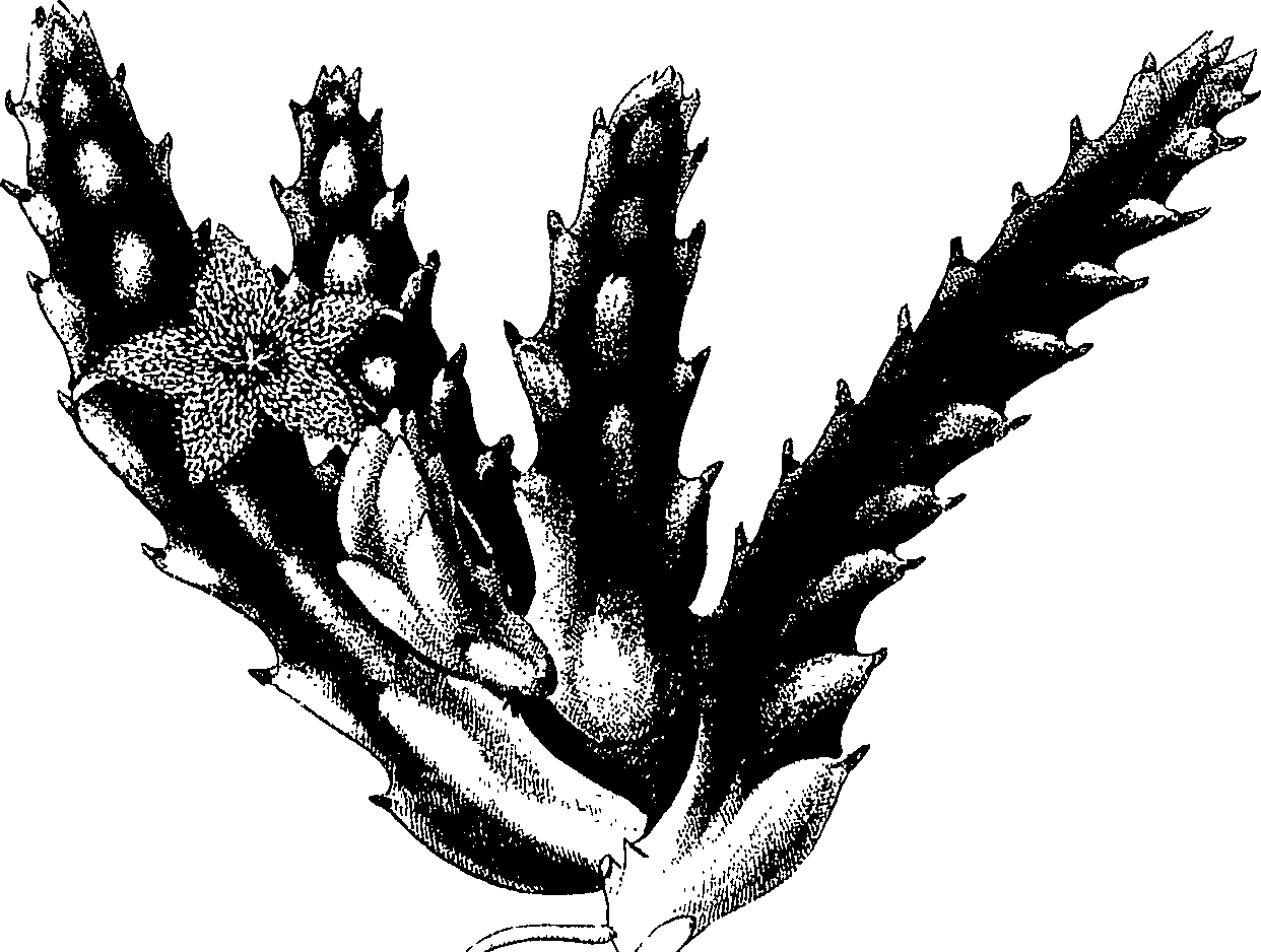 075/075950050000420_0.png