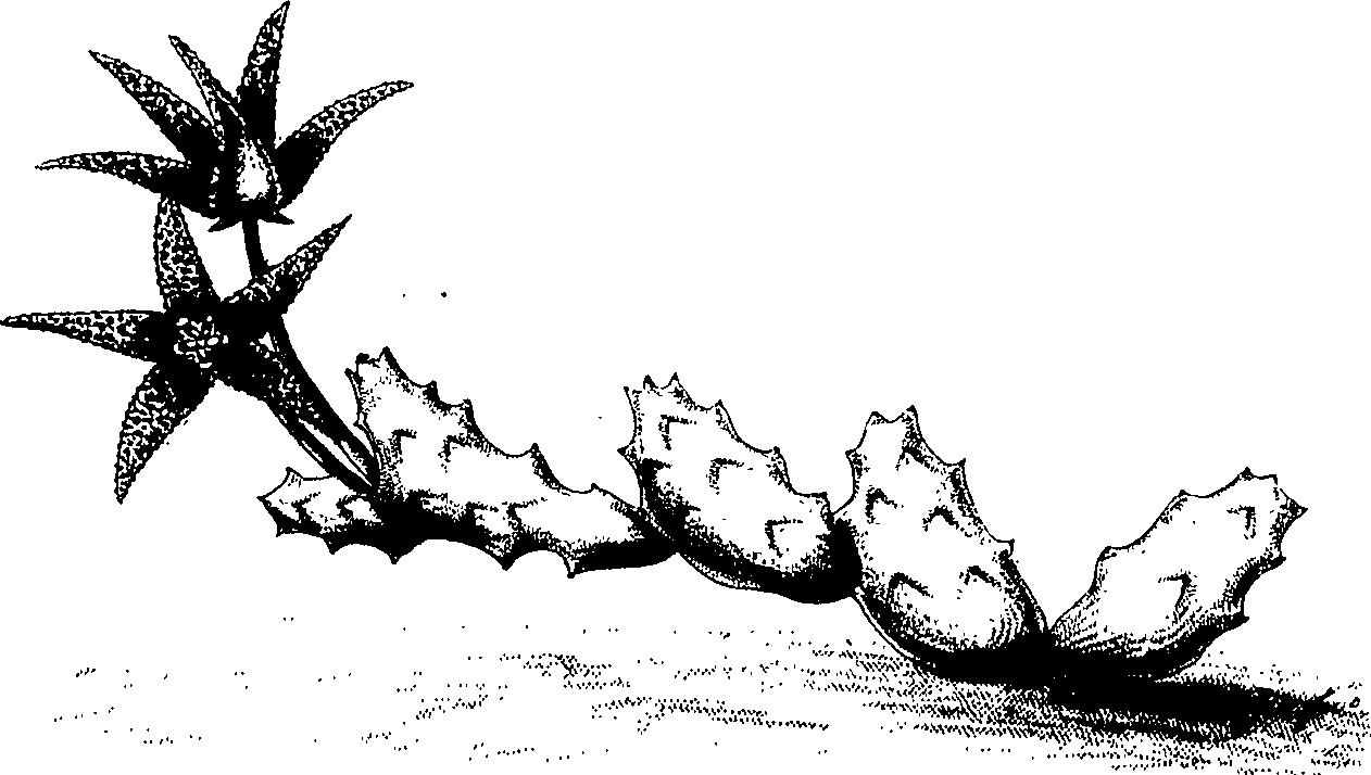 075/075950050000490_0.png