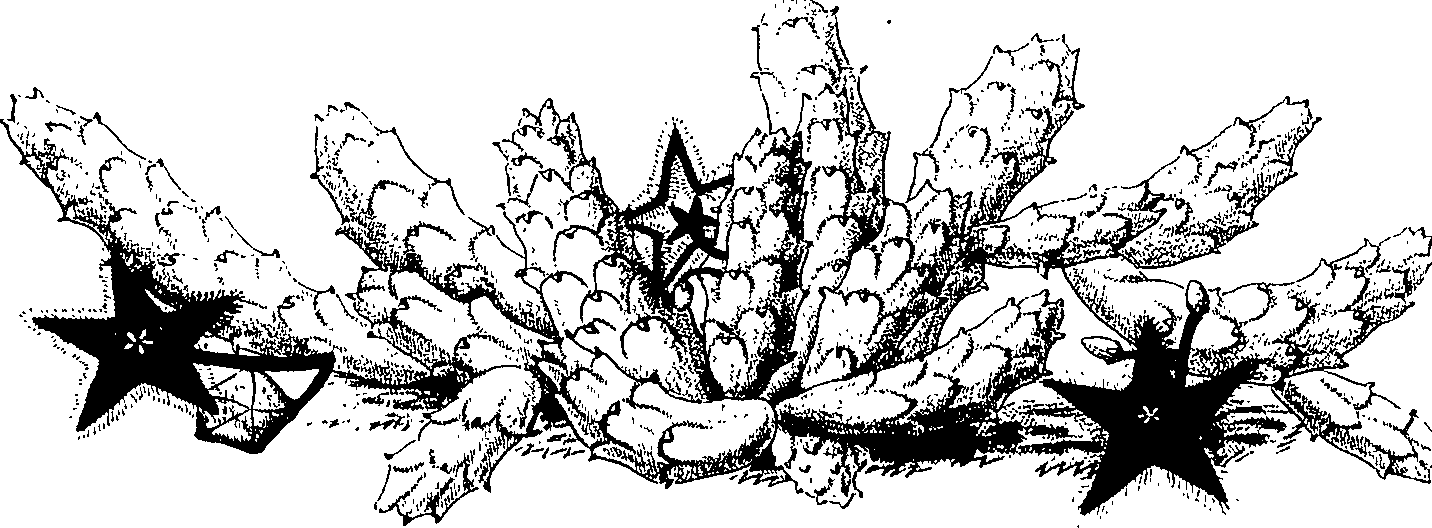 075/075950050000500_0.png