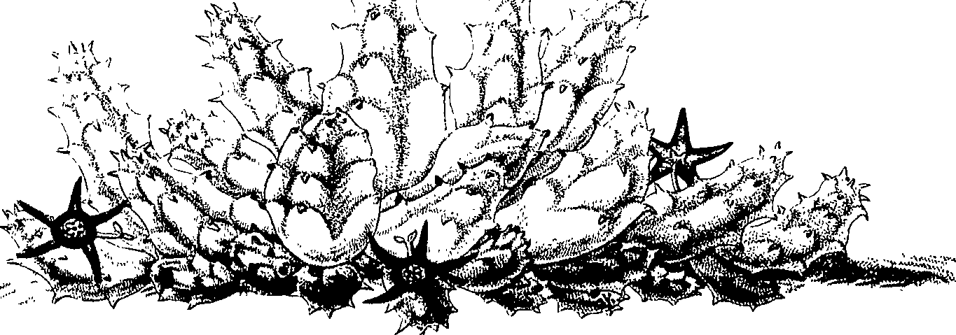 075/075950050000520_0.png