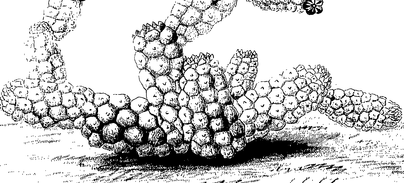075/075950050000530_0.png