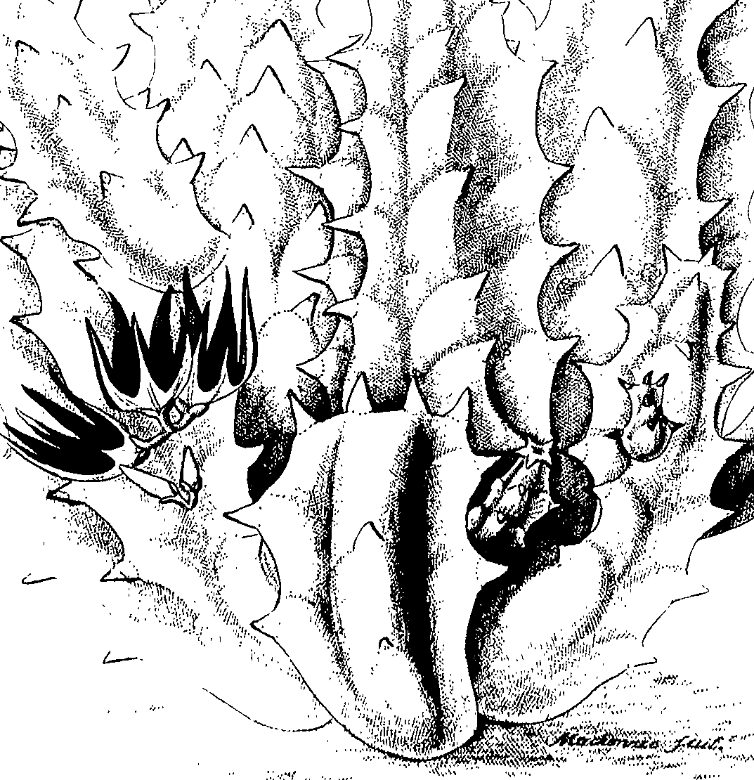 075/075950050000540_0.png