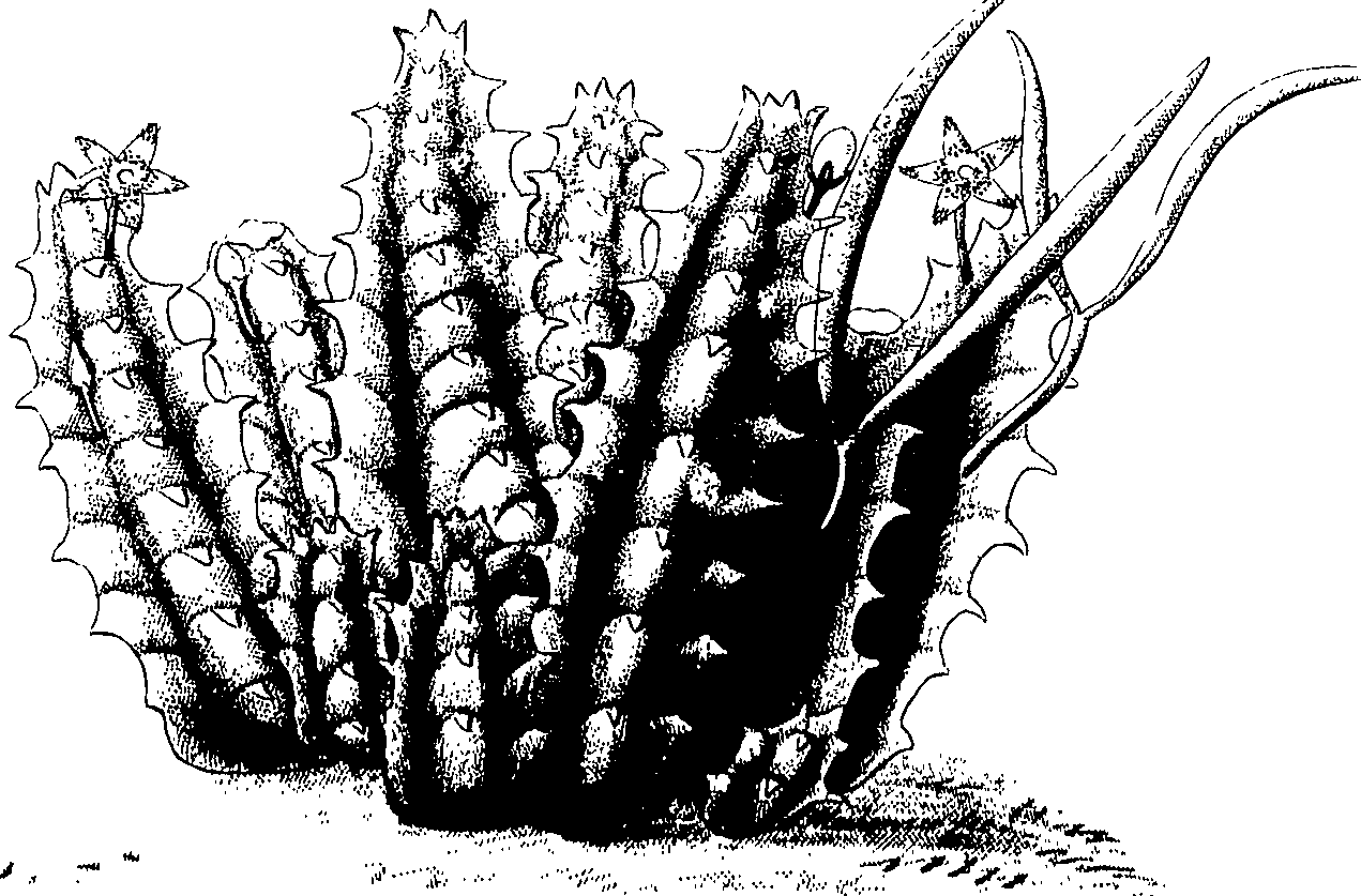 075/075950050000560_0.png
