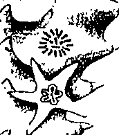 075/075950050000570_0.png