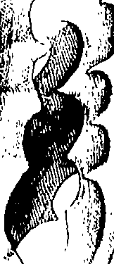 075/075950050000580_0.png